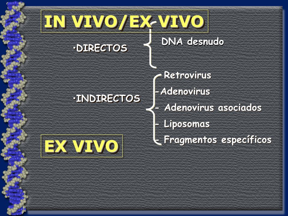 IN VIVO/EX VIVO EX VIVO DNA desnudo DIRECTOS - Retrovirus -Adenovirus