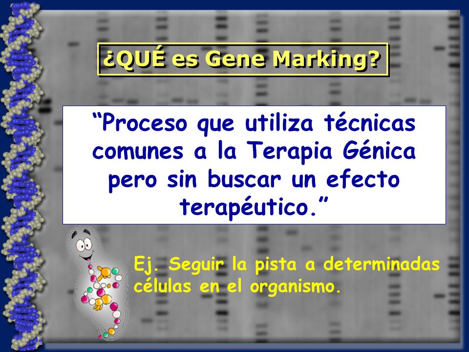 ¿QUÉ es Gene Marking Proceso que utiliza técnicas comunes a la Terapia Génica pero sin buscar un efecto terapéutico.