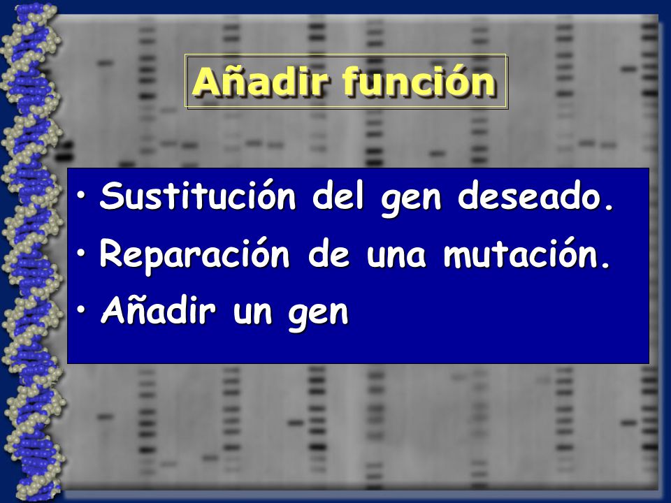 Añadir función Sustitución del gen deseado. Reparación de una mutación. Añadir un gen