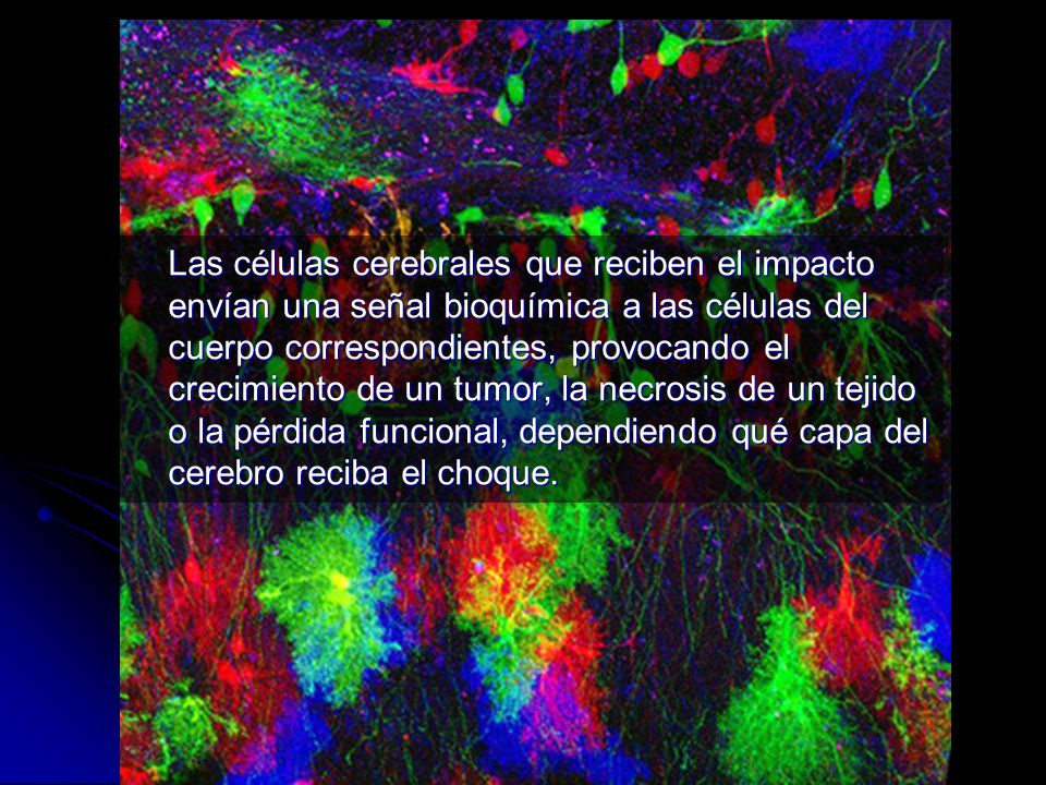 Las células cerebrales que reciben el impacto envían una señal bioquímica a las células del cuerpo correspondientes, provocando el crecimiento de un tumor, la necrosis de un tejido o la pérdida funcional, dependiendo qué capa del cerebro reciba el choque.