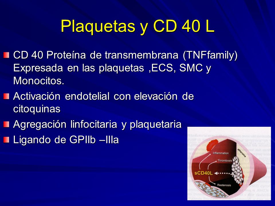 Plaquetas y CD 40 L CD 40 Proteína de transmembrana (TNFfamily) Expresada en las plaquetas ,ECS, SMC y Monocitos.