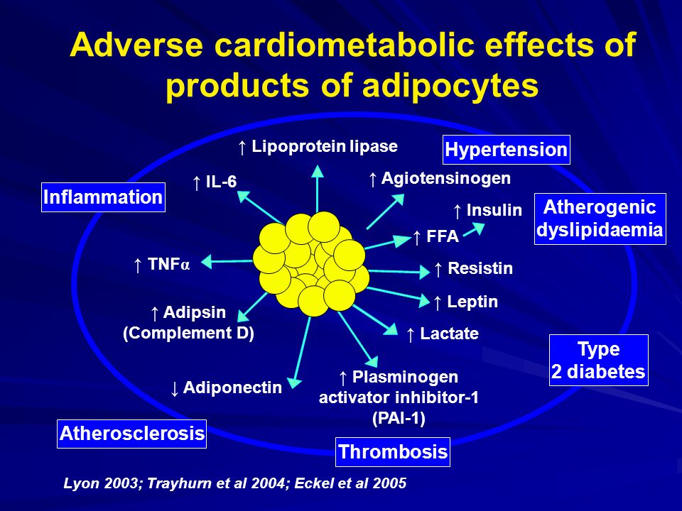 Adverse cardiometabolic effects of products of adipocytes