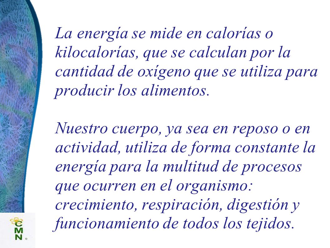 La energía se mide en calorías o kilocalorías, que se calculan por la cantidad de oxígeno que se utiliza para producir los alimentos.