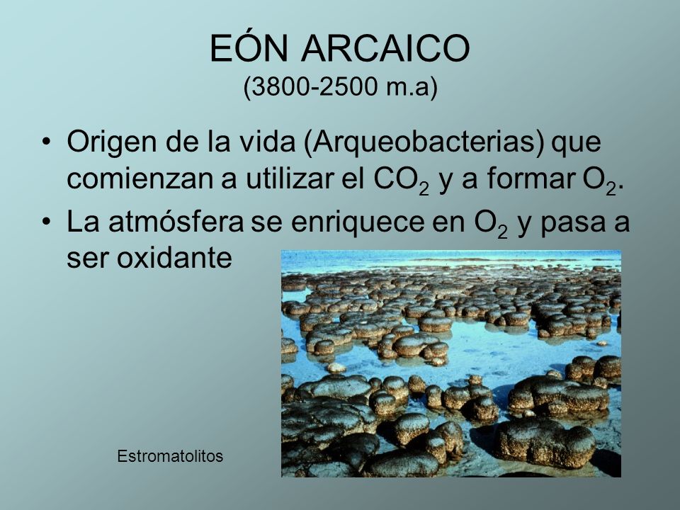 EÓN ARCAICO ( m.a) Origen de la vida (Arqueobacterias) que comienzan a utilizar el CO2 y a formar O2.