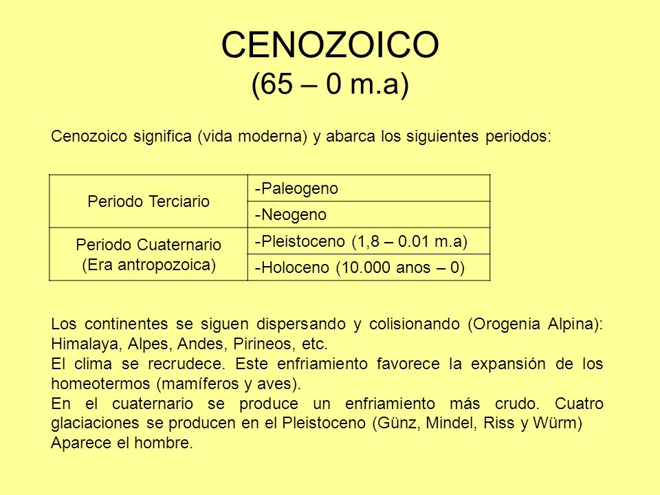 CENOZOICO (65 – 0 m.a) Cenozoico significa (vida moderna) y abarca los siguientes periodos: Periodo Terciario.