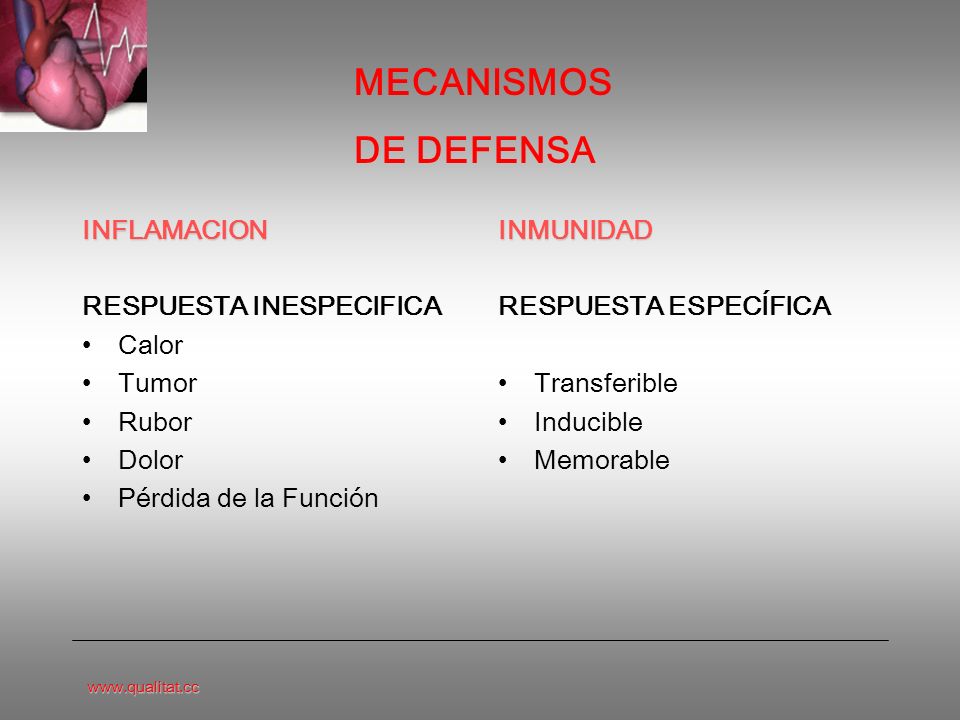 MECANISMOS DE DEFENSA INFLAMACION RESPUESTA INESPECIFICA Calor Tumor