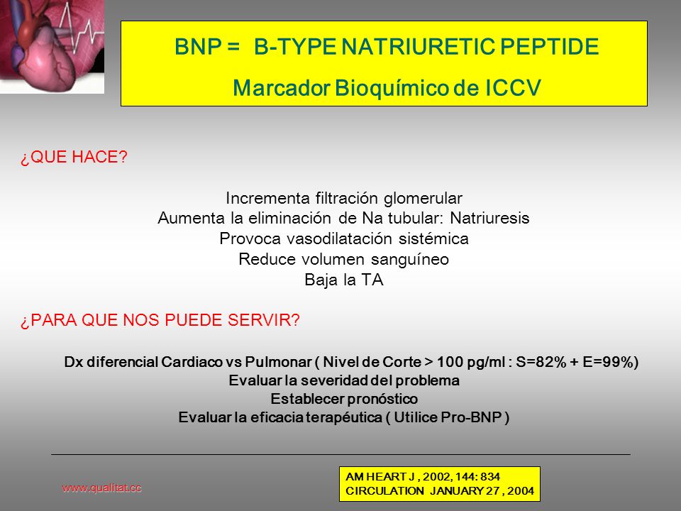 BNP = B-TYPE NATRIURETIC PEPTIDE Marcador Bioquímico de ICCV