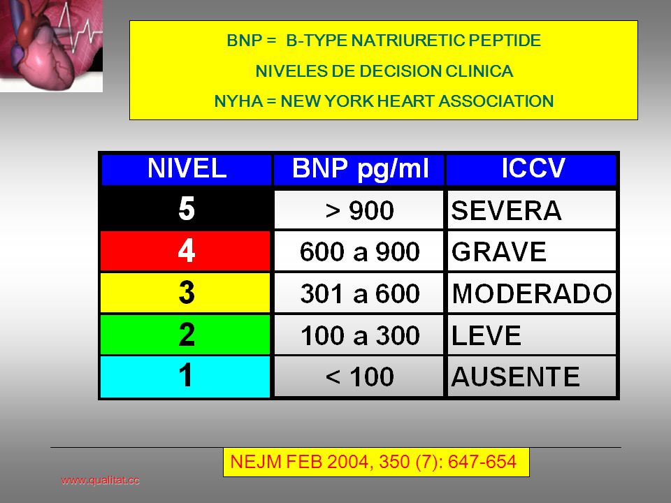 BNP = B-TYPE NATRIURETIC PEPTIDE NIVELES DE DECISION CLINICA NYHA = NEW YORK HEART ASSOCIATION
