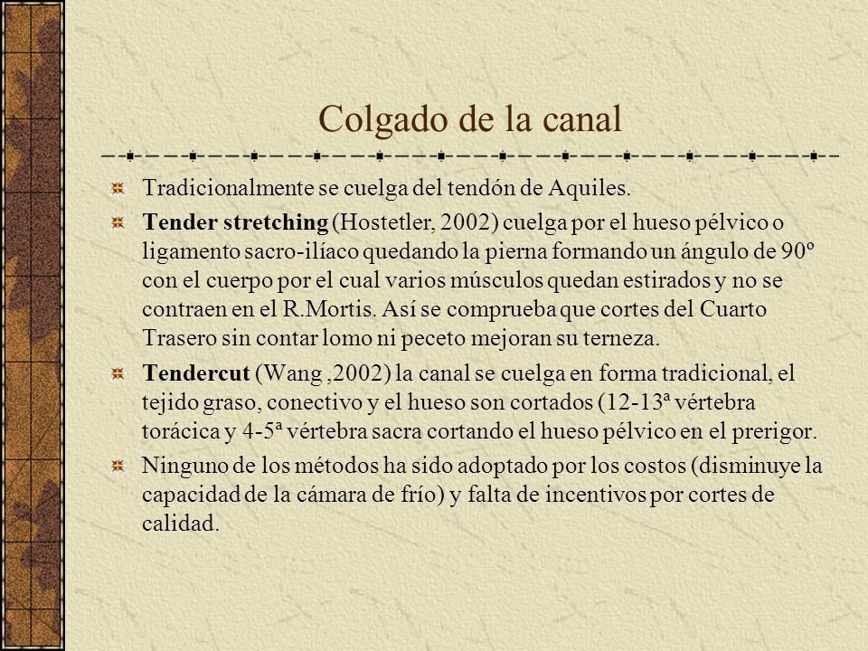 Colgado de la canal Tradicionalmente se cuelga del tendón de Aquiles.