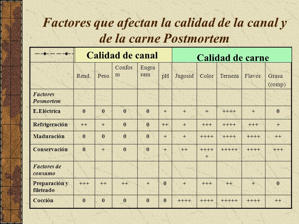 Factores que afectan la calidad de la canal y de la carne Postmortem