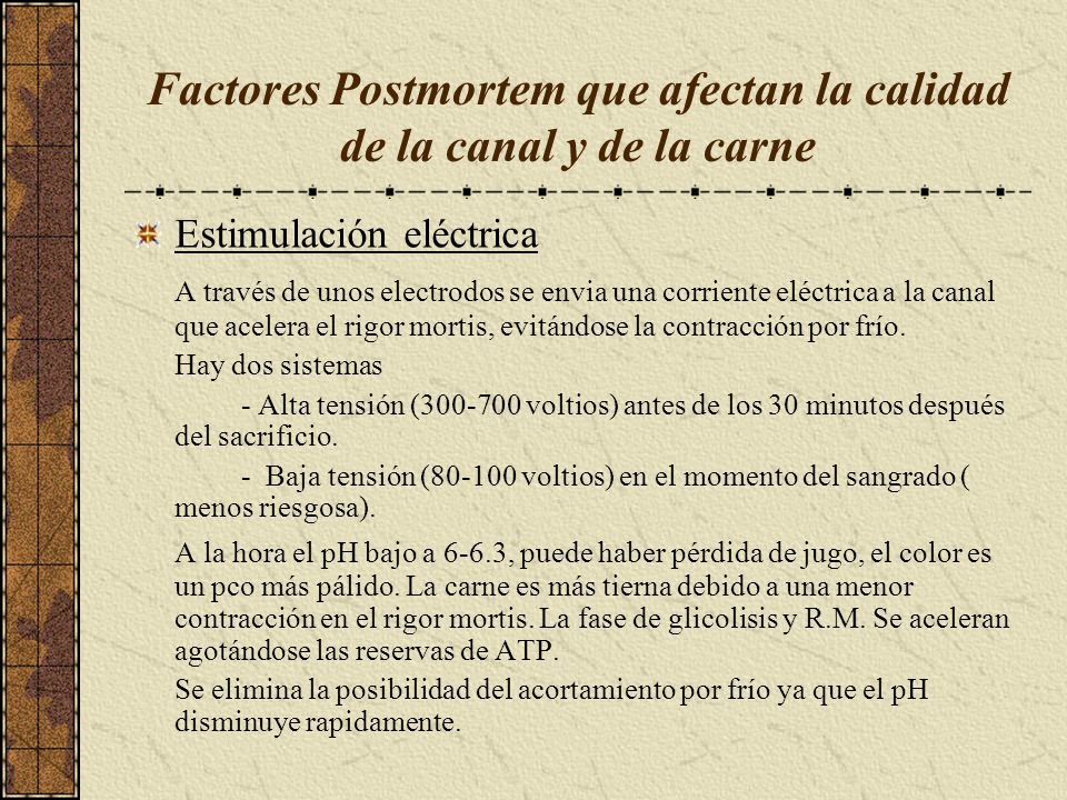 Factores Postmortem que afectan la calidad de la canal y de la carne
