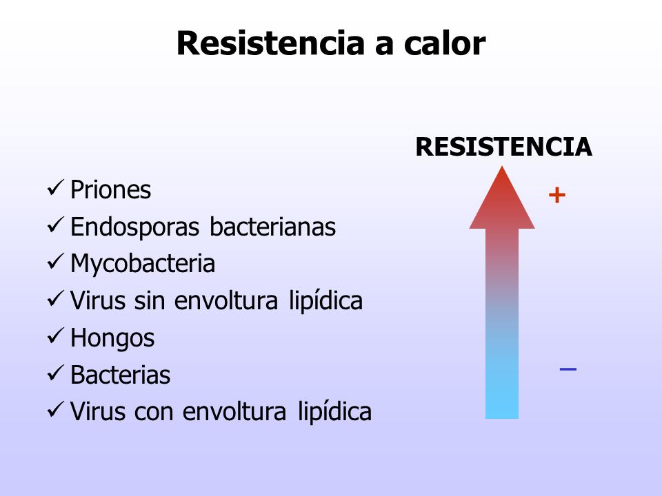 Resistencia a calor RESISTENCIA Priones Endosporas bacterianas +