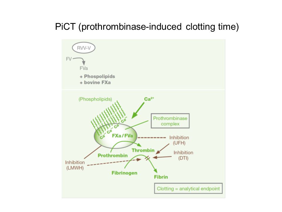 PiCT (prothrombinase-induced clotting time)