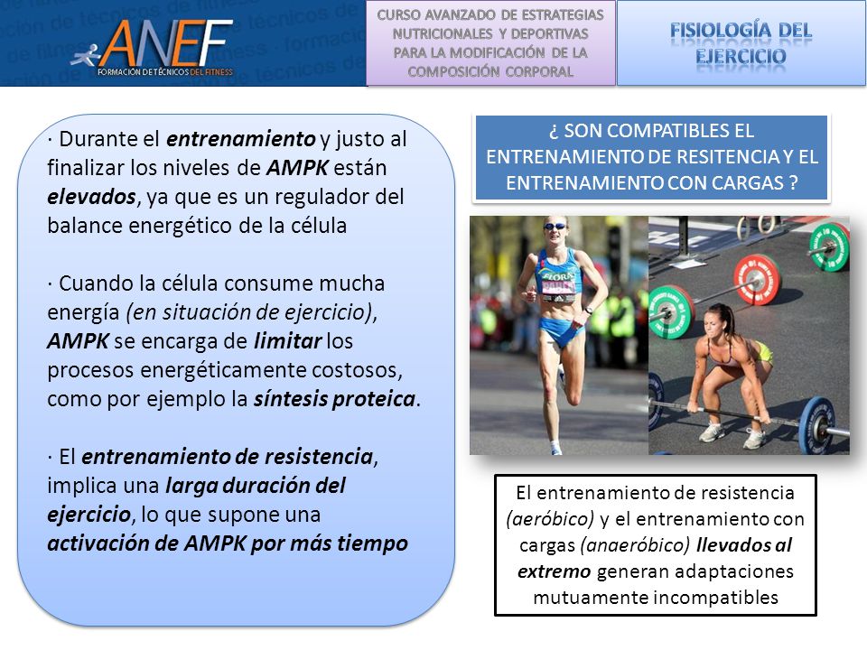 Fisiología DEL EJERCICIO