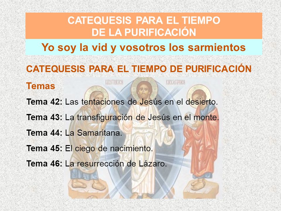 CATEQUESIS PARA EL TIEMPO Yo soy la vid y vosotros los sarmientos