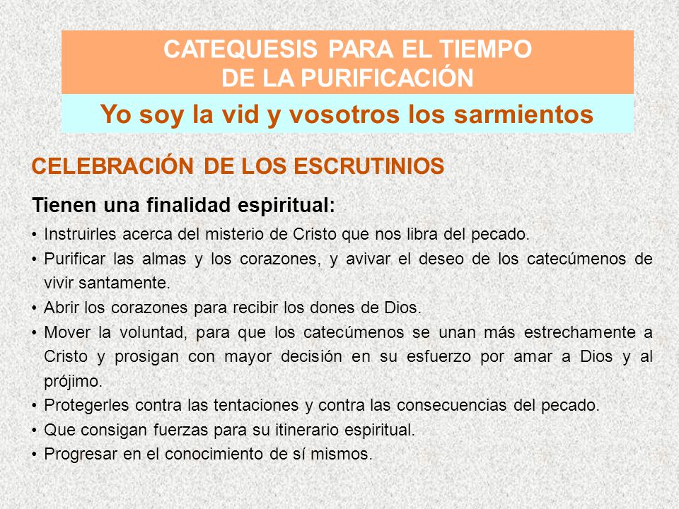 CATEQUESIS PARA EL TIEMPO Yo soy la vid y vosotros los sarmientos