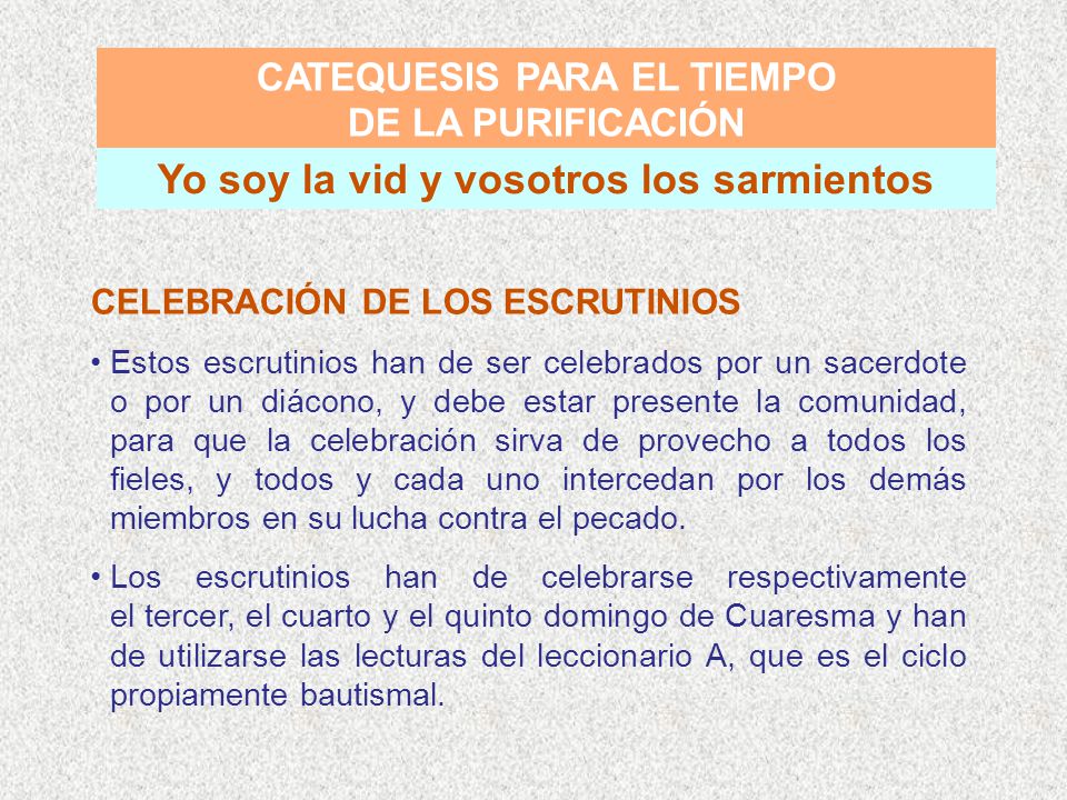 CATEQUESIS PARA EL TIEMPO Yo soy la vid y vosotros los sarmientos