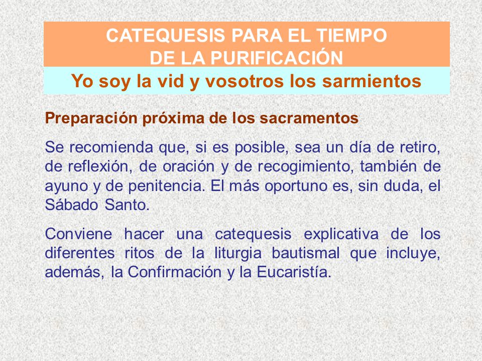 CATEQUESIS PARA EL TIEMPO Yo soy la vid y vosotros los sarmientos