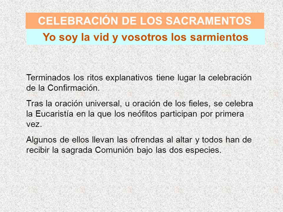 CELEBRACIÓN DE LOS SACRAMENTOS Yo soy la vid y vosotros los sarmientos