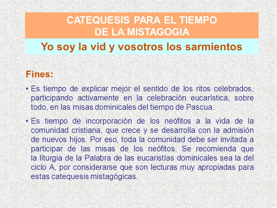 CATEQUESIS PARA EL TIEMPO Yo soy la vid y vosotros los sarmientos