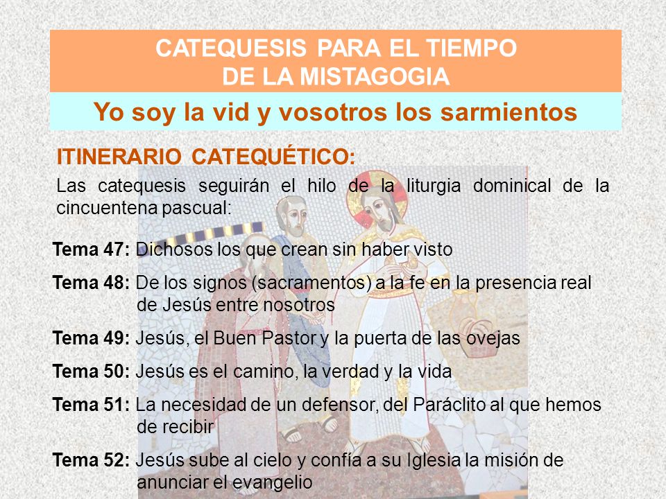 CATEQUESIS PARA EL TIEMPO Yo soy la vid y vosotros los sarmientos