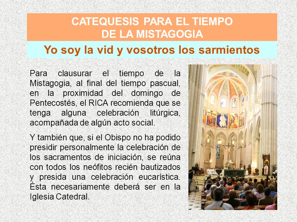 CATEQUESIS PARA EL TIEMPO Yo soy la vid y vosotros los sarmientos