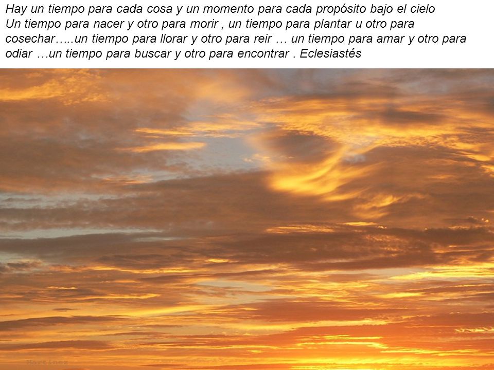 Hay un tiempo para cada cosa y un momento para cada propósito bajo el cielo Un tiempo para nacer y otro para morir , un tiempo para plantar u otro para cosechar…..un tiempo para llorar y otro para reir … un tiempo para amar y otro para odiar …un tiempo para buscar y otro para encontrar .