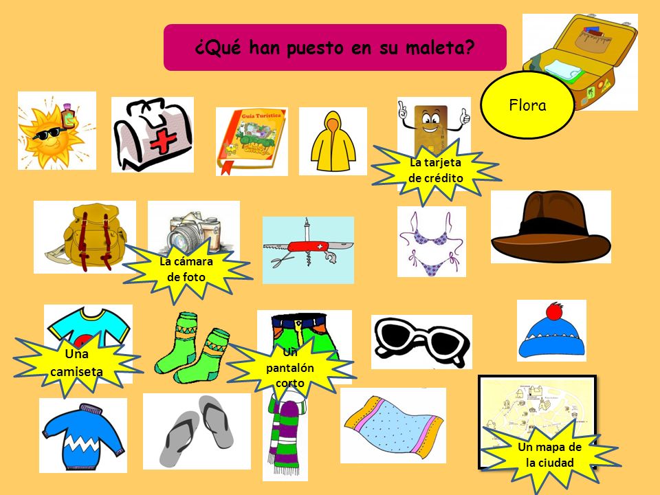 ¿Qué han puesto en su maleta