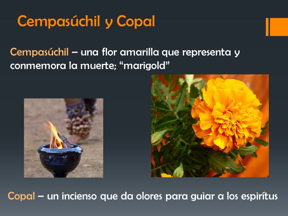 Cempasúchil y Copal Cempasúchil – una flor amarilla que representa y conmemora la muerte; marigold