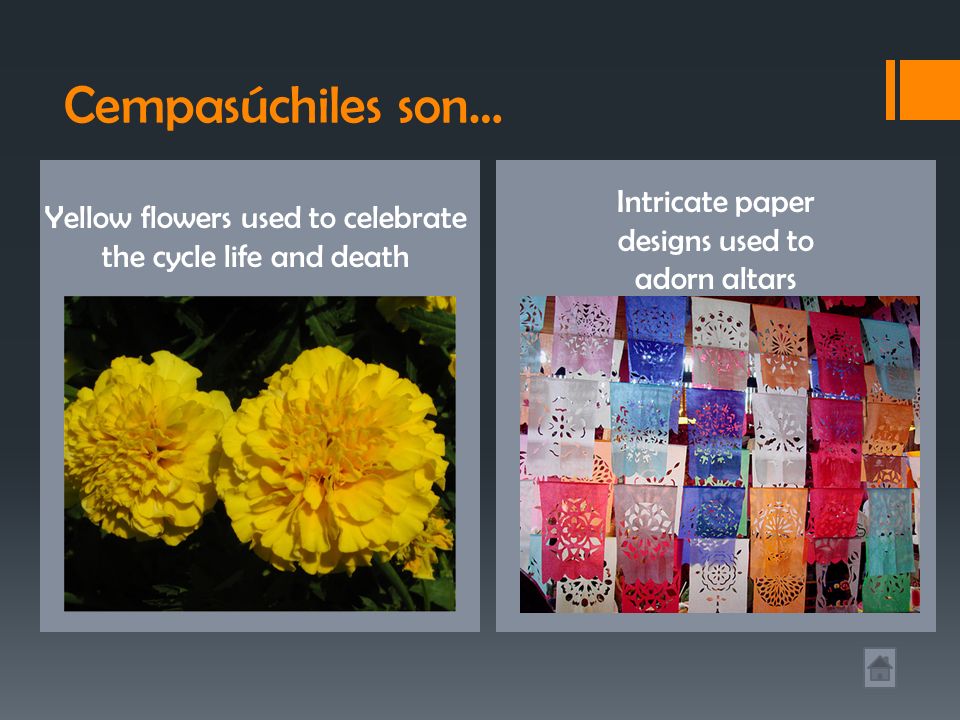 Cempasúchiles son… Intricate paper designs used to adorn altars