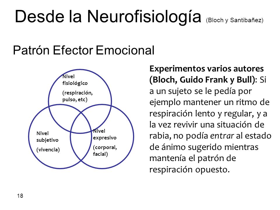 Desde la Neurofisiología (Bloch y Santibañez)