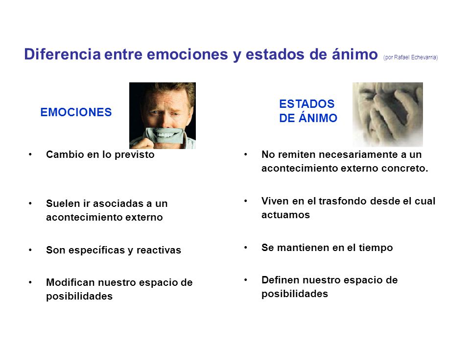 Diferencia entre emociones y estados de ánimo (por Rafael Echevarria)