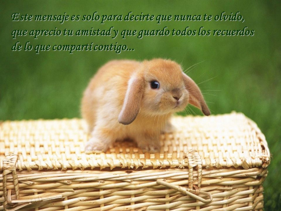 Este mensaje es solo para decirte que nunca te olvido,