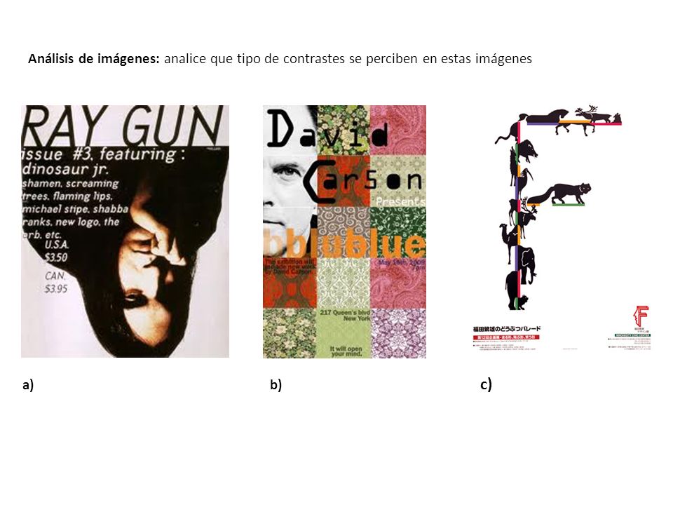 Análisis de imágenes: analice que tipo de contrastes se perciben en estas imágenes