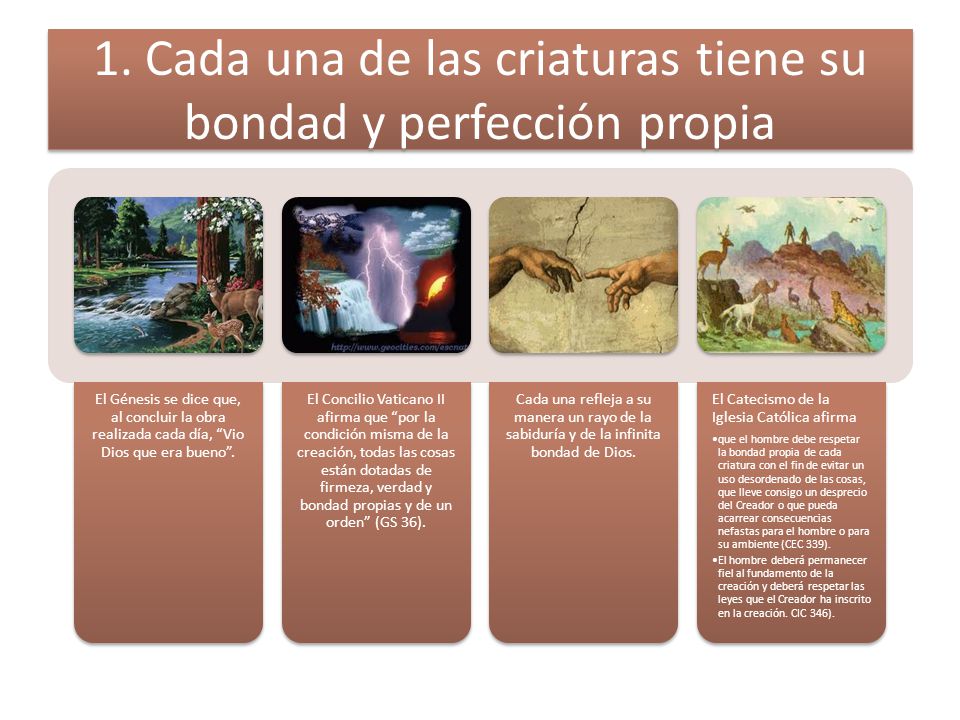 1. Cada una de las criaturas tiene su bondad y perfección propia