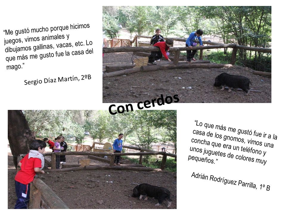 Me gustó mucho porque hicimos juegos, vimos animales y dibujamos gallinas, vacas, etc. Lo que más me gusto fue la casa del mago.