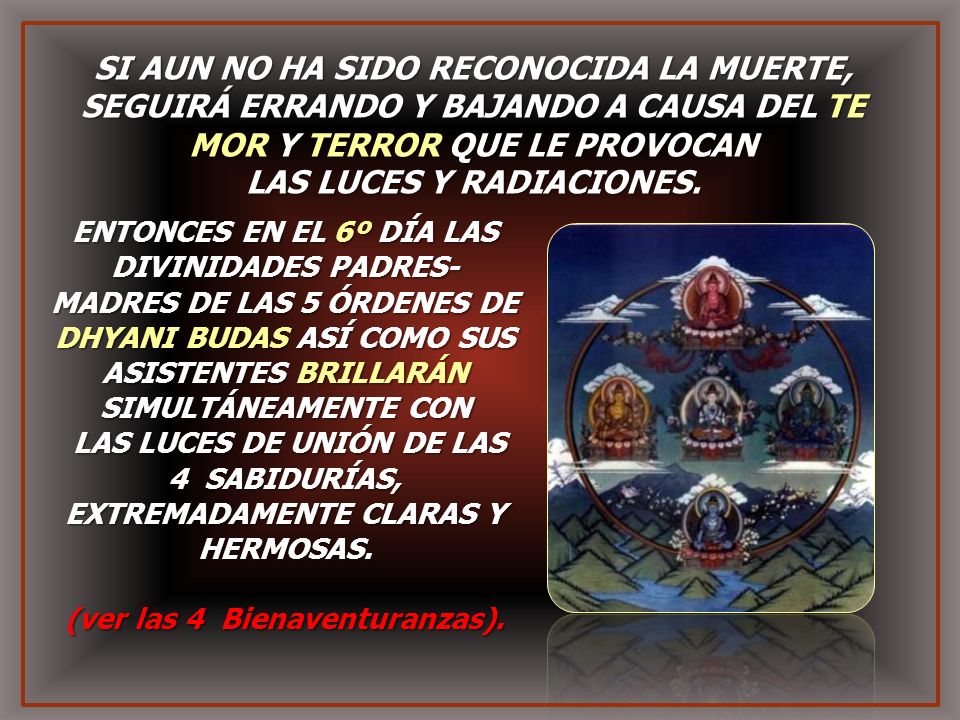MOR Y TERROR QUE LE PROVOCAN LAS LUCES Y RADIACIONES.