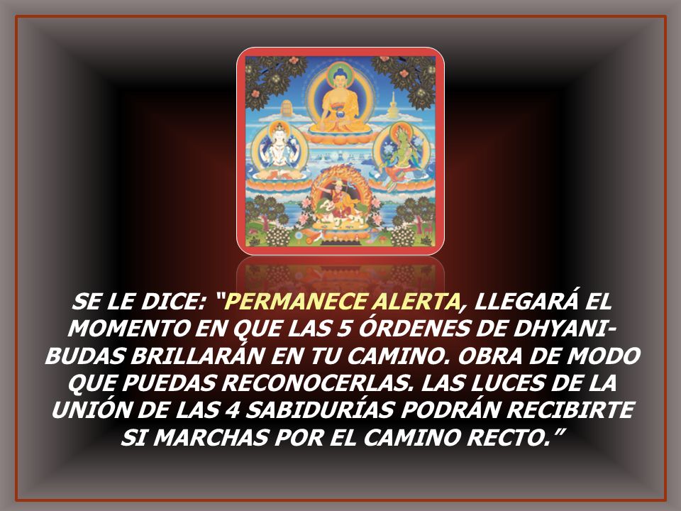 SE LE DICE: PERMANECE ALERTA, LLEGARÁ EL MOMENTO EN QUE LAS 5 ÓRDENES DE DHYANI-BUDAS BRILLARÁN EN TU CAMINO.