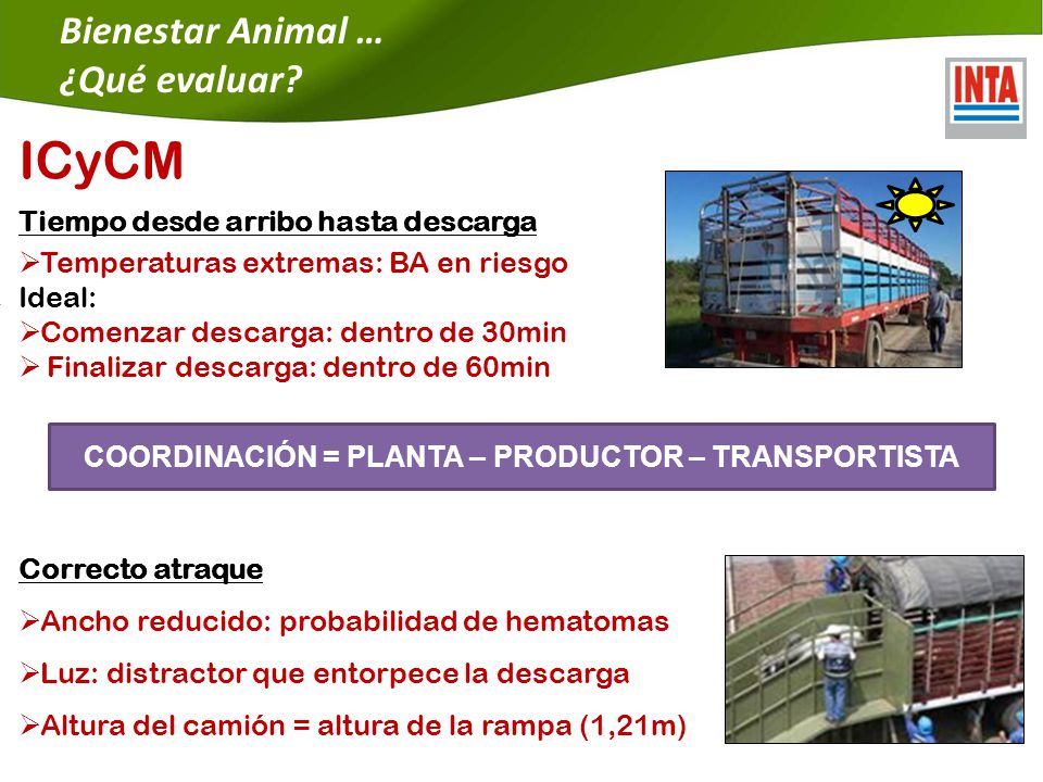 COORDINACIÓN = PLANTA – PRODUCTOR – TRANSPORTISTA