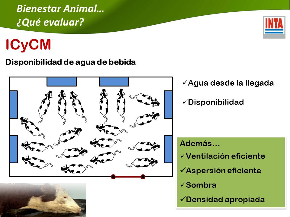ICyCM Bienestar Animal… ¿Qué evaluar Disponibilidad de agua de bebida