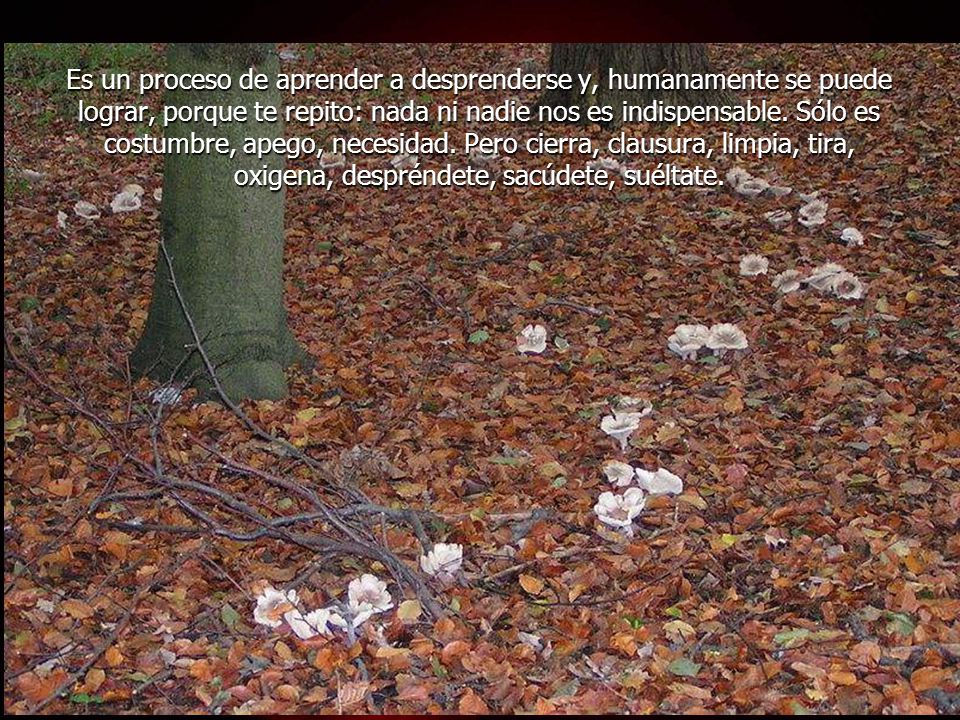 Es un proceso de aprender a desprenderse y, humanamente se puede lograr, porque te repito: nada ni nadie nos es indispensable. Sólo es costumbre, apego, necesidad. Pero cierra, clausura, limpia, tira, oxigena, despréndete, sacúdete, suéltate.