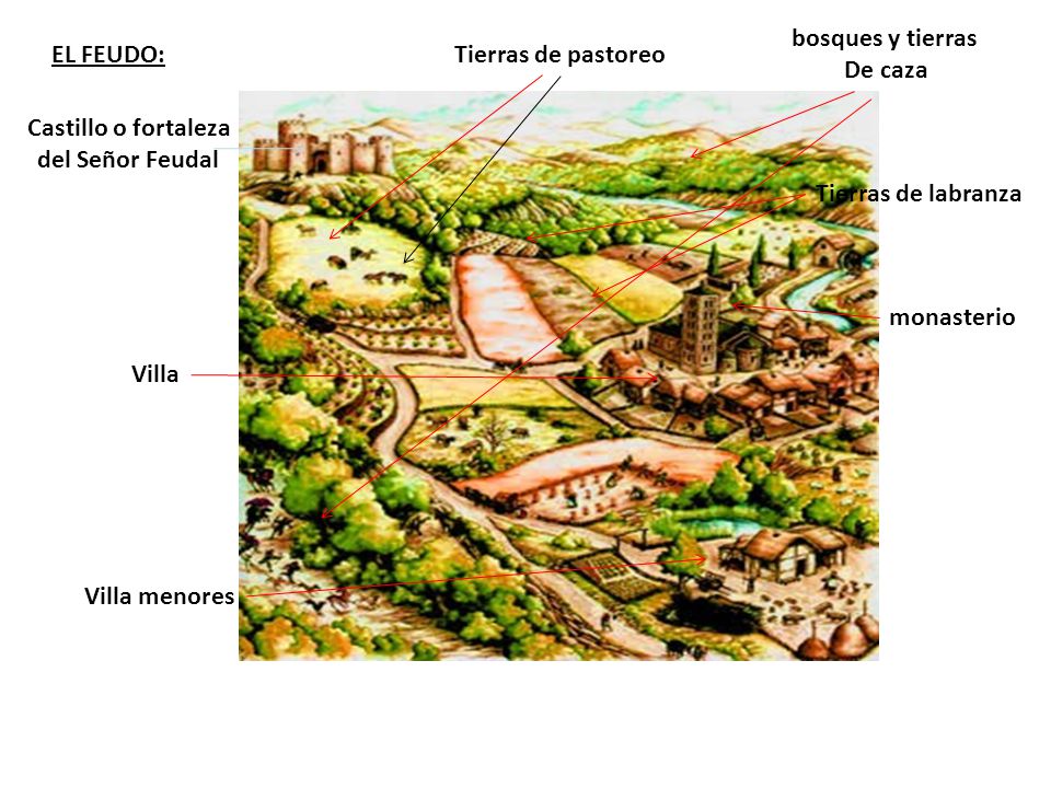 bosques y tierras De caza. EL FEUDO: Tierras de pastoreo. Castillo o fortaleza. del Señor Feudal.