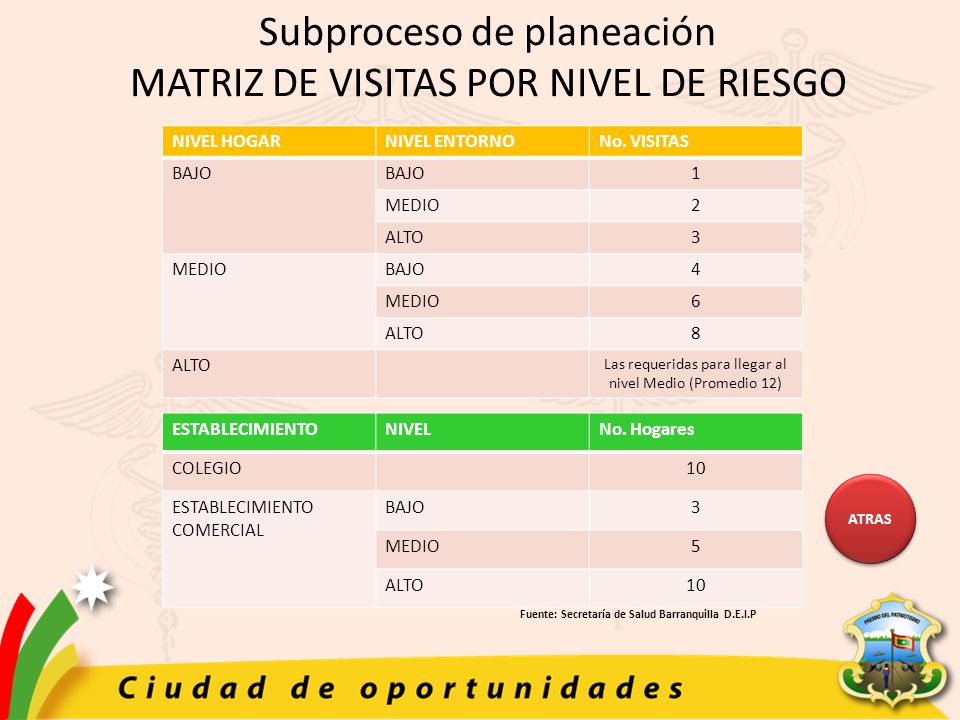 Subproceso de planeación MATRIZ DE VISITAS POR NIVEL DE RIESGO