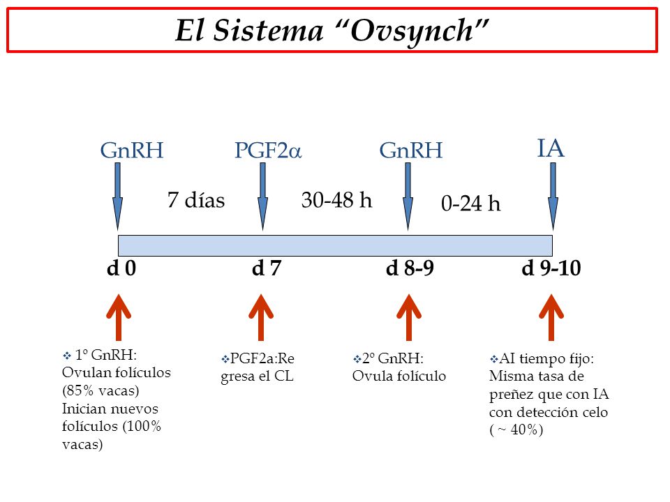 El Sistema Ovsynch IA GnRH PGF2a GnRH 7 días h 0-24 h d 0 d 7