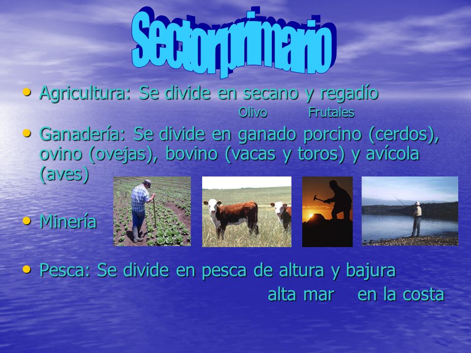 Sector primario Agricultura: Se divide en secano y regadío