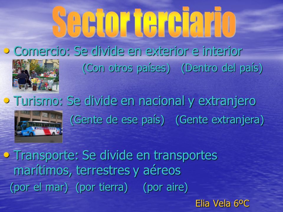 Sector terciario Comercio: Se divide en exterior e interior
