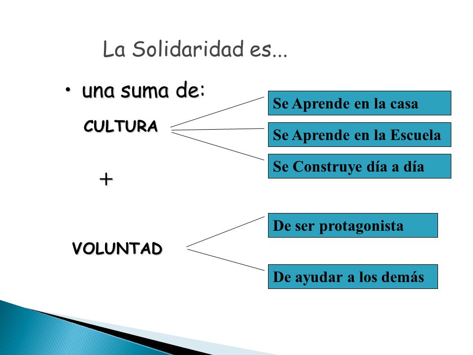+ La Solidaridad es... una suma de: Se Aprende en la casa CULTURA