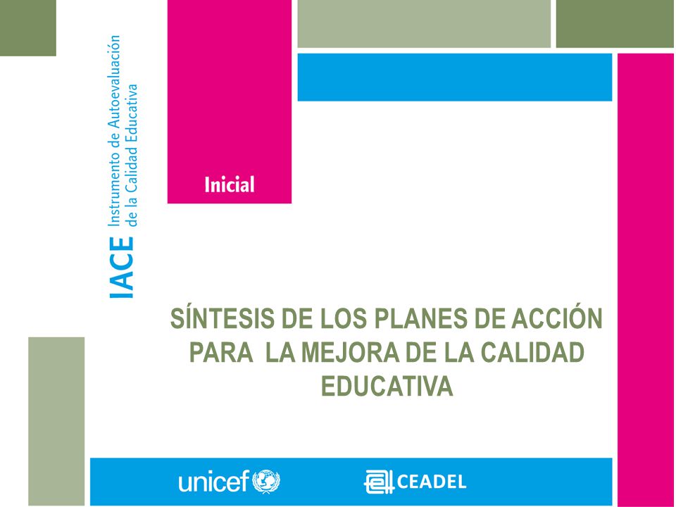 SÍNTESIS DE LOS PLANES DE ACCIÓN PARA LA MEJORA DE LA CALIDAD EDUCATIVA