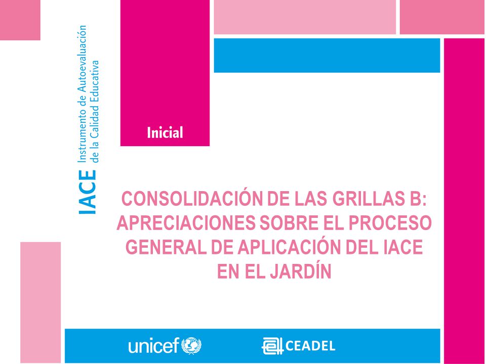 CONSOLIDACIÓN DE LAS GRILLAS B: APRECIACIONES SOBRE EL PROCESO GENERAL DE APLICACIÓN DEL IACE EN EL JARDÍN