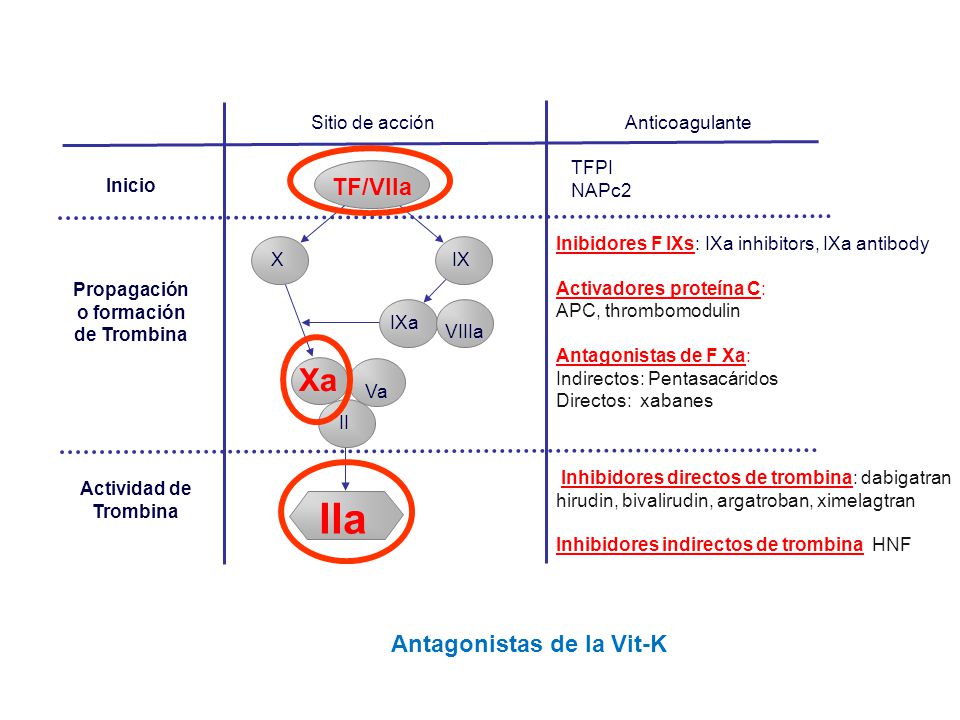 Múltiples sitios: Antagonistas de la Vit-K